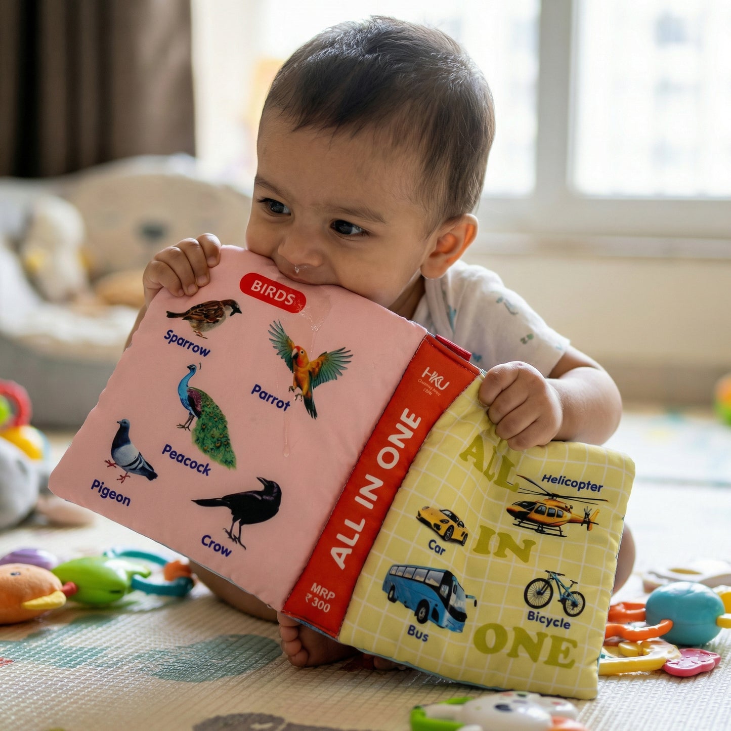 All-in-One Book