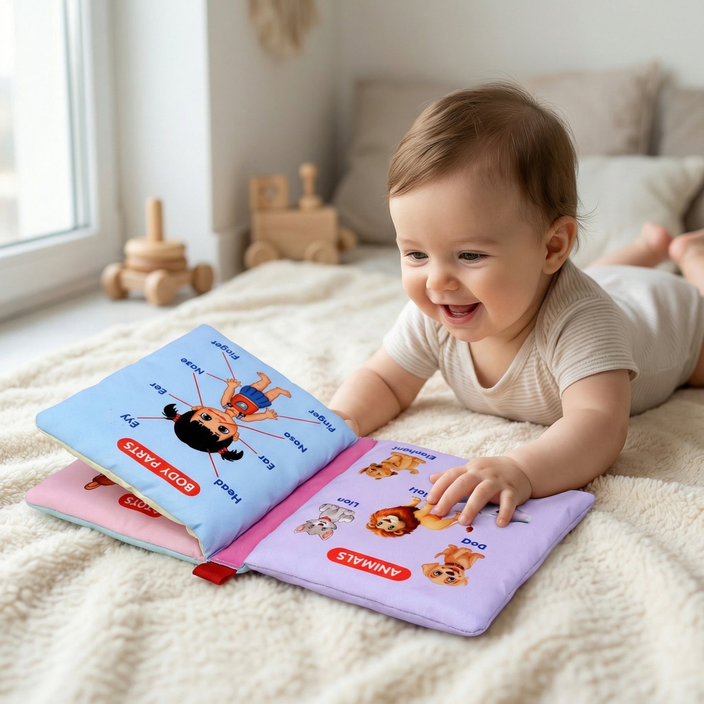 All-in-One Book