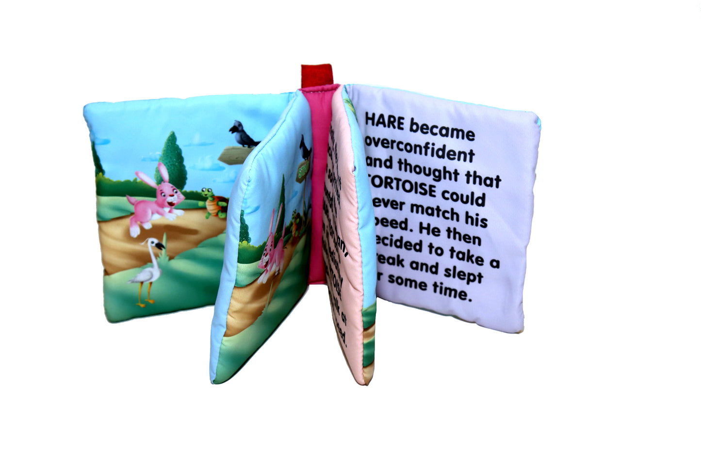 The Hare and The Tortoise