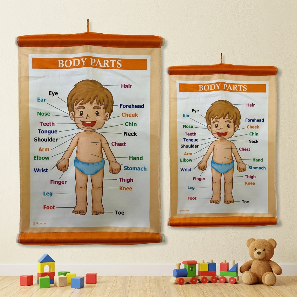 Body Parts 05