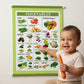 Vegetables 08